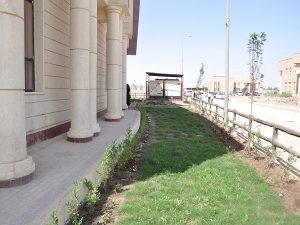 Read more about the article a1