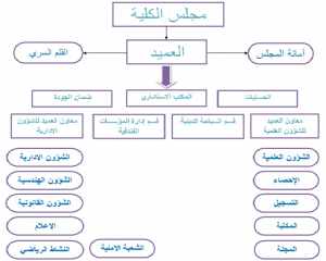 Read more about the article هيكل الكلية