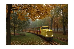 Read more about the article فيينا براتر