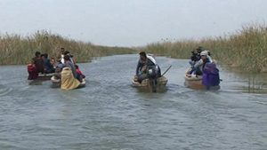 Read more about the article رحلتنا الى الأهوار في 24-3-2016