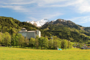 Read more about the article برغ كابرون