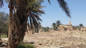 Read more about the article رحلة علمية لدراسة آثار ” الحيّاضية”