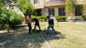 Read more about the article كلية العلوم السياحية بجامعة كربلاء تطلق حملة تأهيل شاملة لحدائق الكلية